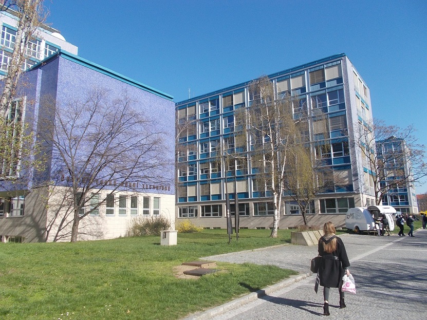 Sakury už odkvetly. Teď se ulice mezi vysokými školami stane pěší zónou