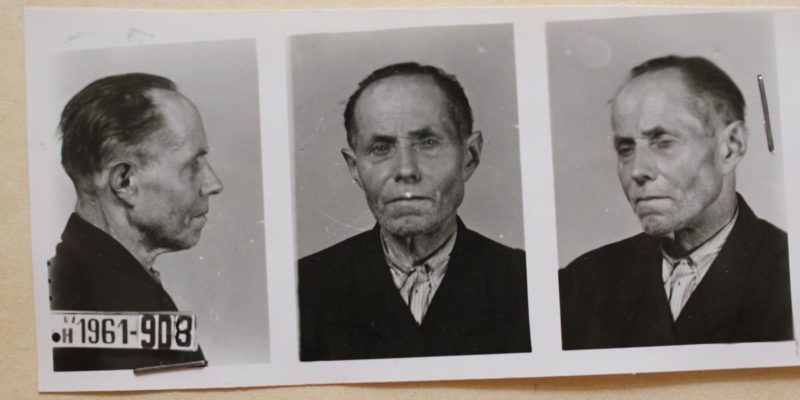 Obrázek #9 z 9