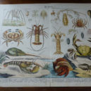 litografie - barevná litografie 3