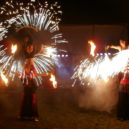 Slavnosti květů v Lysolajích - OLYMPUS DIGITAL CAMERA