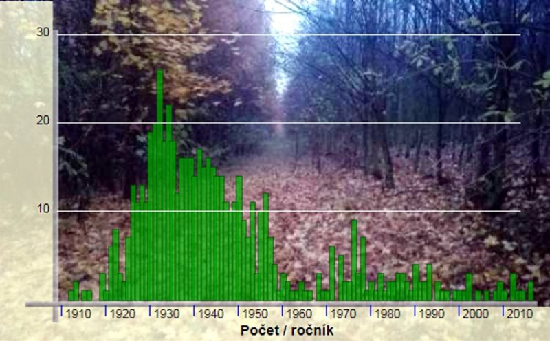 Obrázek #5 z 21