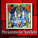 K historii pražského kamnářství - 1 DSC04867