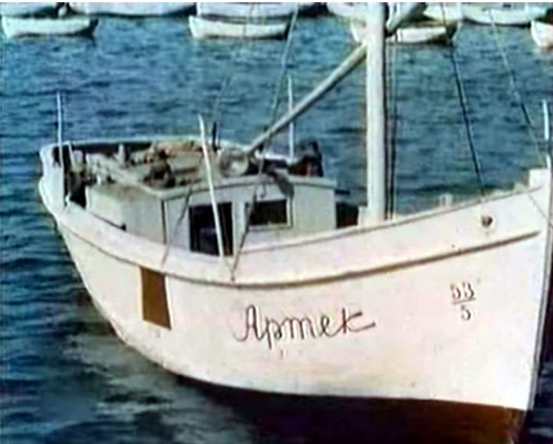 Obrázek #1 z 31