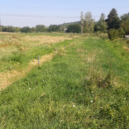 Lipanský potok - 1 aa