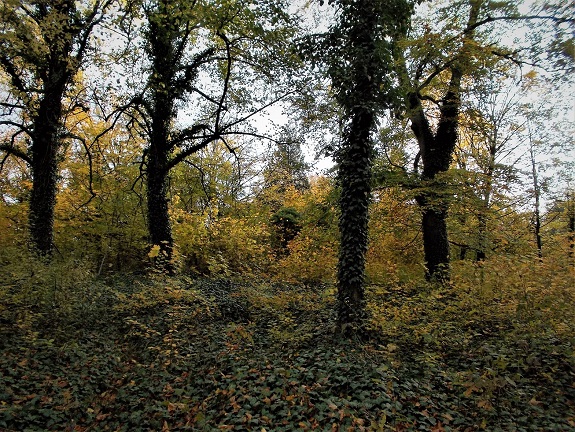 Obrázek #2 z 9