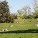 Riegrovy sady - 1 mg
