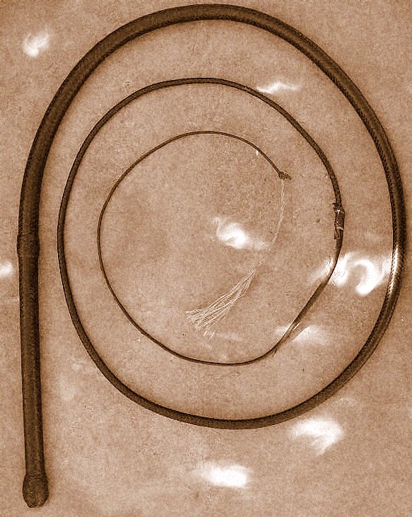 Obrázek #17 z 19