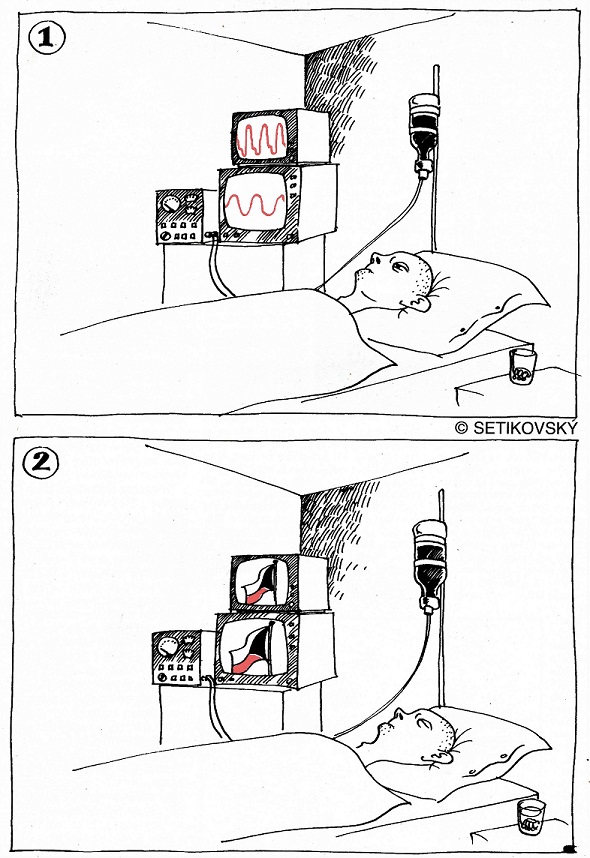 Obrázek #6 z 9