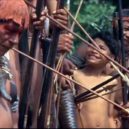 Film Misie (1986) - 13 – Film ´Misie´ (1986) – youtube