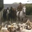 Henry Fielding a jeho Tom Jones - 15 – Hon – youtube