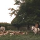 Henry Fielding a jeho Tom Jones - 16 – Hon – youtube