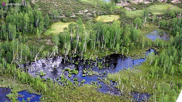 Obrázek #3 z 10