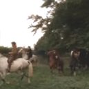 Henry Fielding a jeho Tom Jones - 17 – Hon – youtube