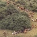 Henry Fielding a jeho Tom Jones - 18 – Hon – youtube