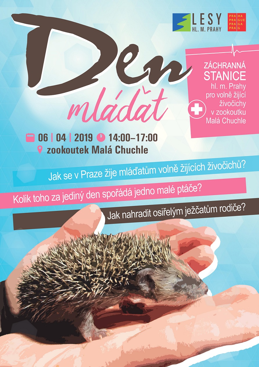 Obrázek #2 z 7