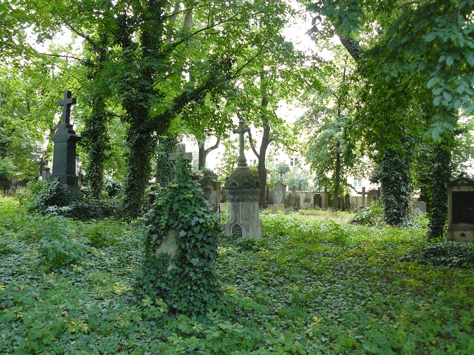 Obrázek #2 z 9