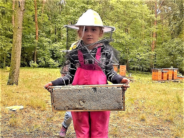 Obrázek #2 z 6