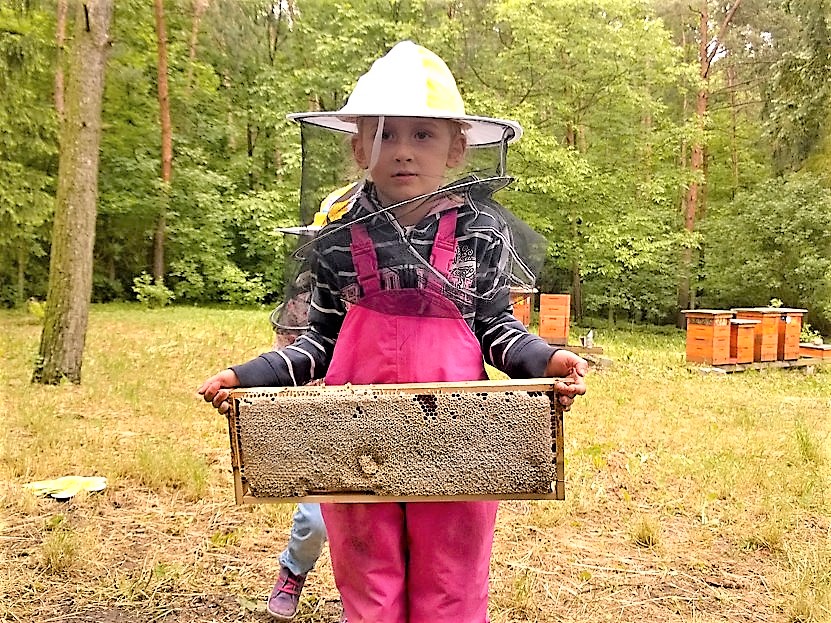 Obrázek #2 z 6