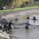 Podzimní výlov rybníků - 2 korálek bykovice