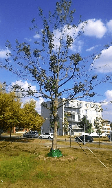 Obrázek #2 z 6