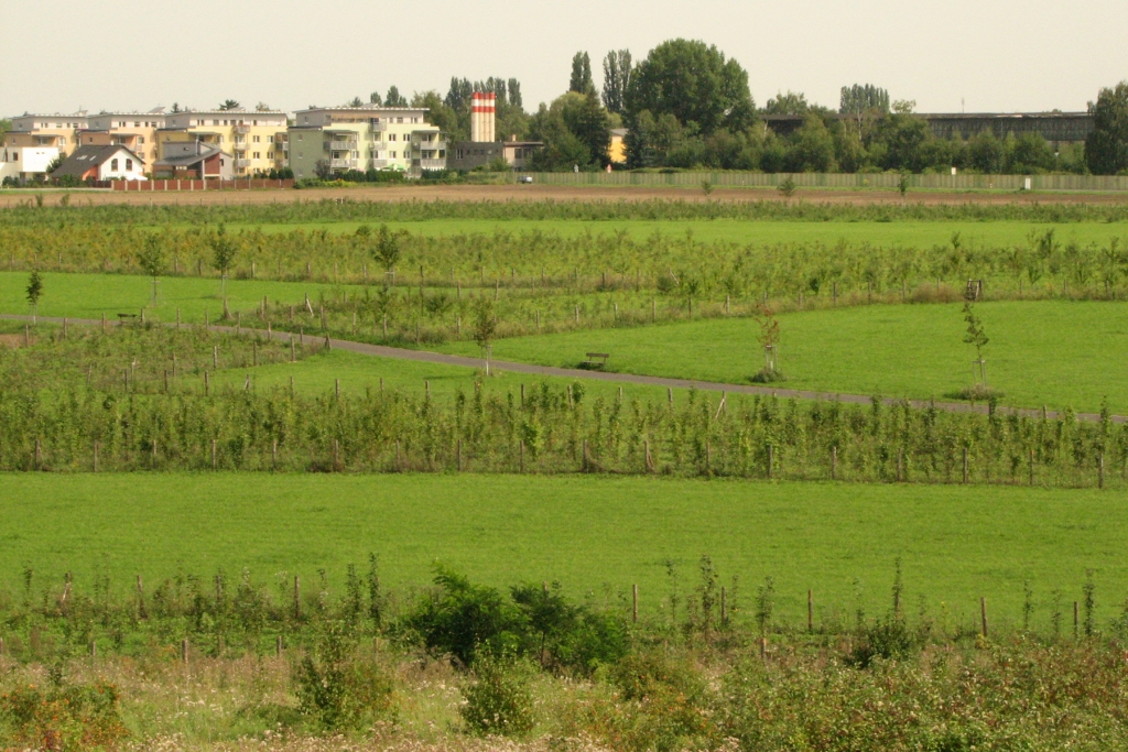 Obrázek #2 z 9
