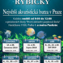 Ryby a rybičky - 2 rybyarybickyweb