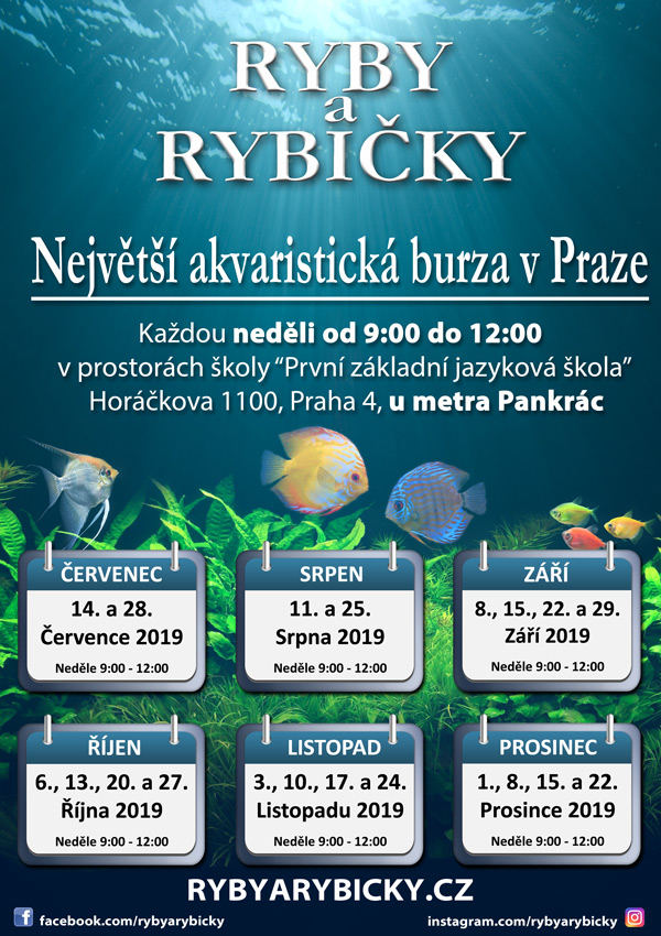 Obrázek #2 z 6
