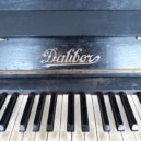 Piana firmy Dalibor - Dalibor