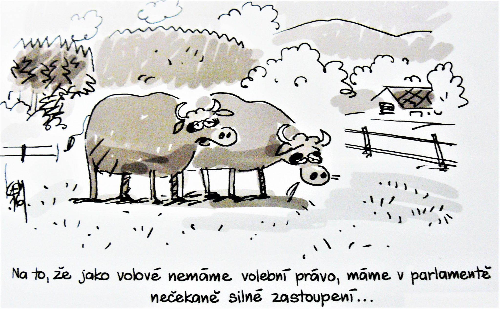 Obrázek #4 z 9
