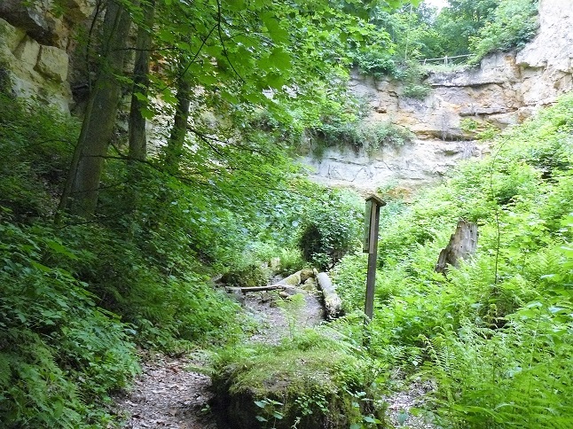Obrázek #9 z 12