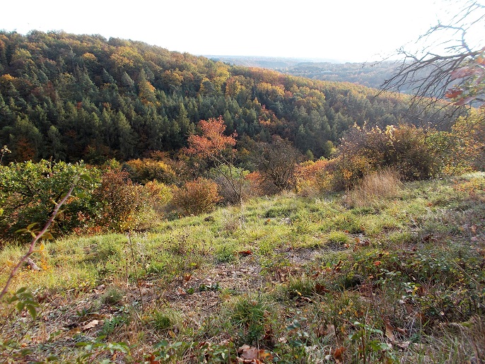 Obrázek #3 z 7