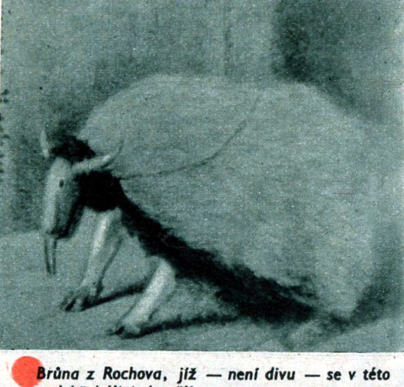 Obrázek #21 z 21