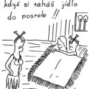 SORRY 1/2019 - 3 eja Do postele
