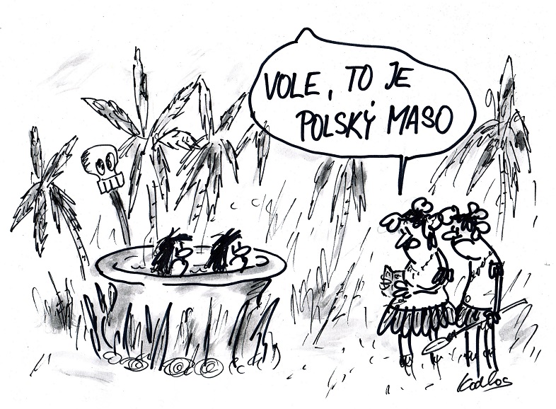 Obrázek #5 z 9