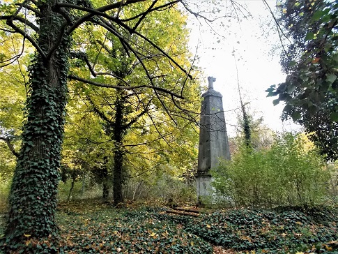 Obrázek #3 z 9