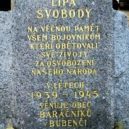 Lípy svobody v Praze 6 - 3 krupkovo-namesti