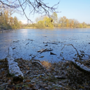 Milíčovský rybník - 3 milí