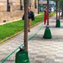 Péče o stromy v Praze 5 - 3 praha 555