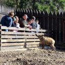 Zookoutek Malá Chuchle - 3 u-divocaku lhmp