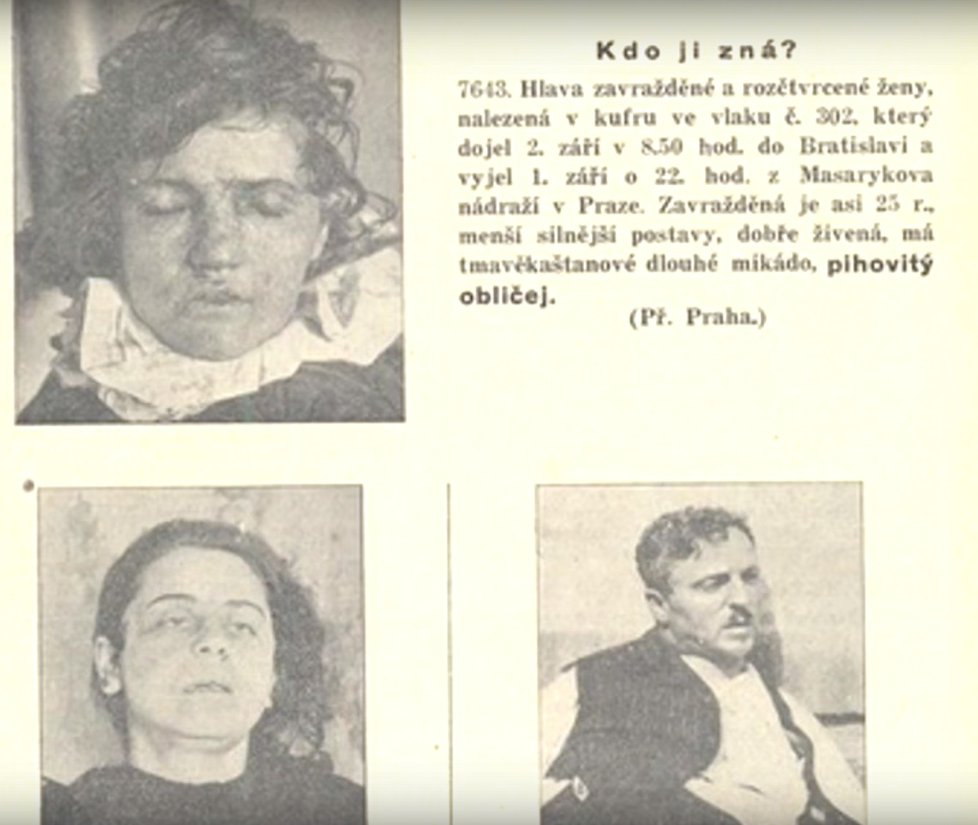 Obrázek #7 z 14