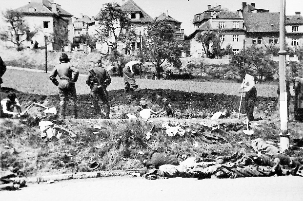 Obrázek #7 z 13