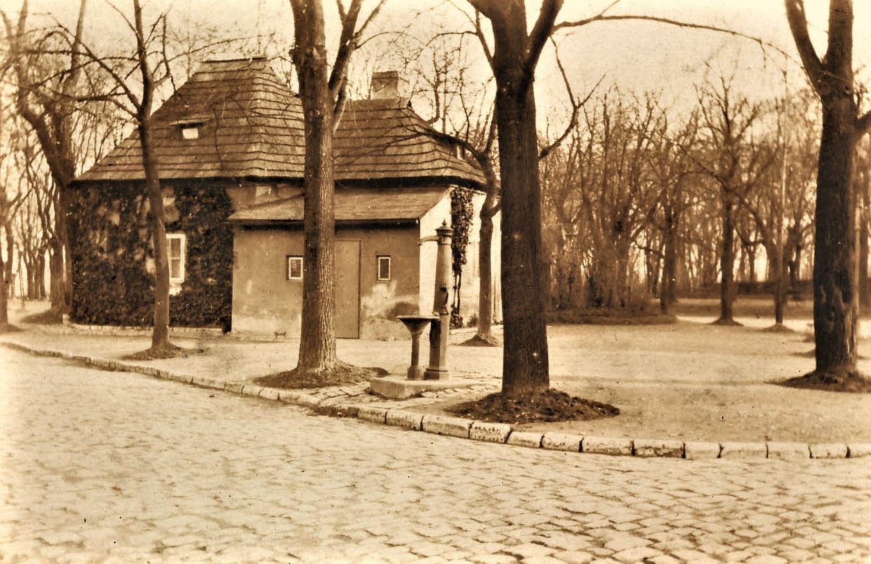 Obrázek #5 z 8
