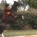 Henry Fielding a jeho Tom Jones - 4 – Hon – youtube