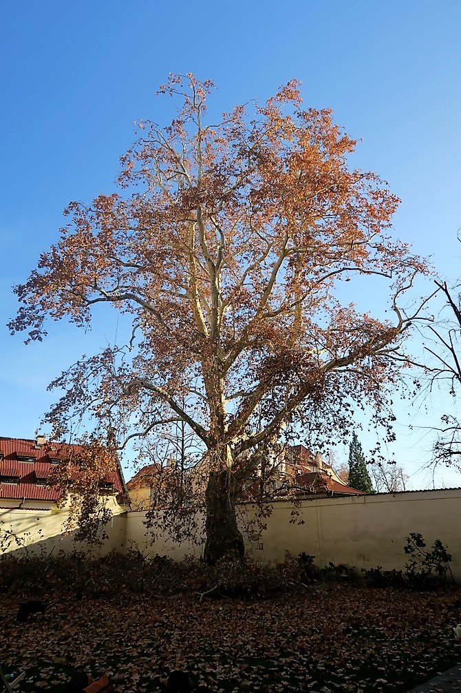 Obrázek #4 z 6