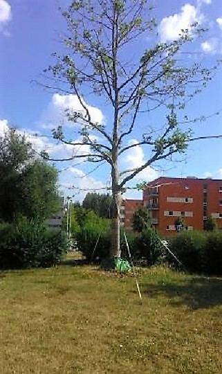 Obrázek #4 z 6