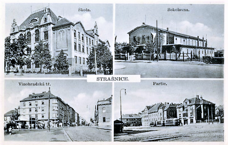 Obrázek #7 z 13