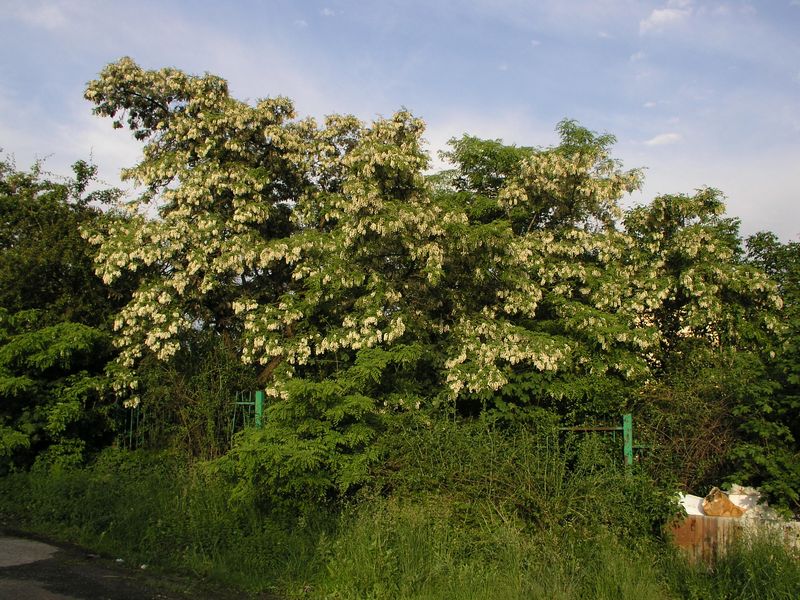 Obrázek #3 z 6