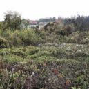 Na místě Strnadova zahradnictví v Praze 6 nebude domek na domku - 4 severní část zarostlá vegetací