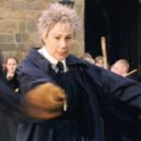 Zoë Wanamakerová - 46 – Harry Potter a Kámen mudrců – Spotern