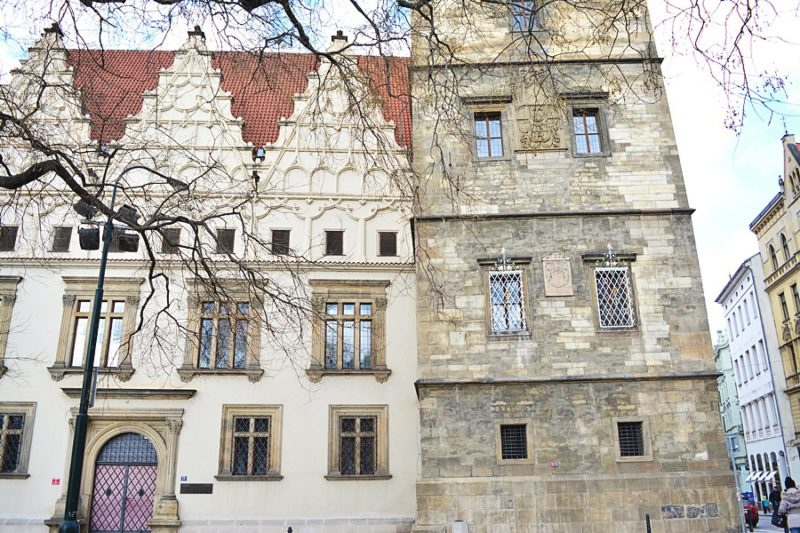 Obrázek #7 z 7